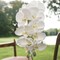 2-Pack: Pure White Phalaenopsis Orchid Stem by Floral Home&#xAE;